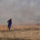 Air pollution due to stubble burning has economic costs as well.